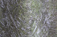 Achnacarry fibreglass roof work